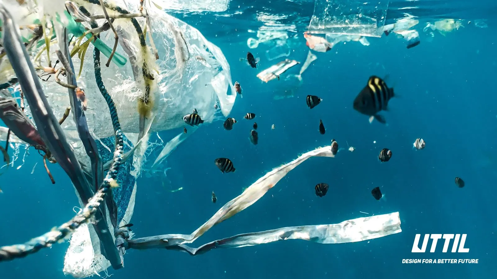 The Global Plastic Invasion